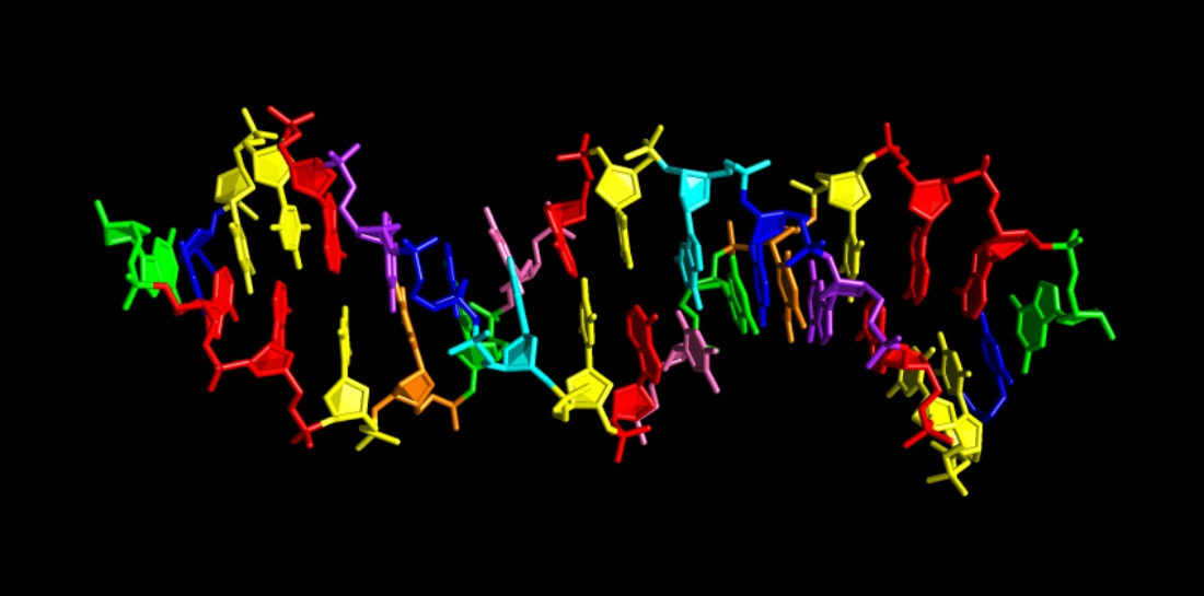 La estructura de la nueva molu00e9cula de ADN sintu00e9tico