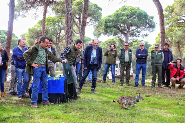 Moreno aboga por la protección del lince ibérico desde una perspectiva social, e