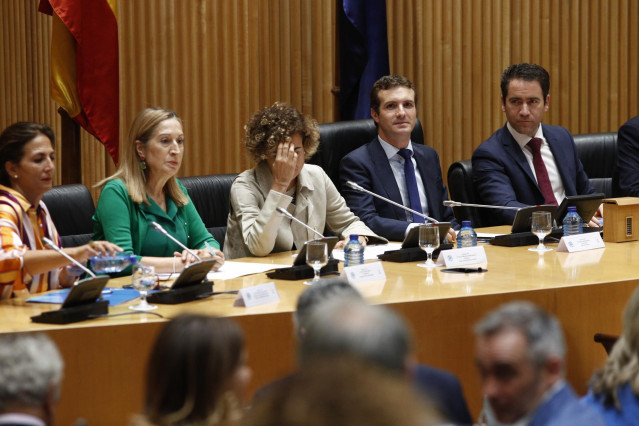 El presidente del PP, Pablo Casado, preside la reunión plenaria del Grupo Parlam