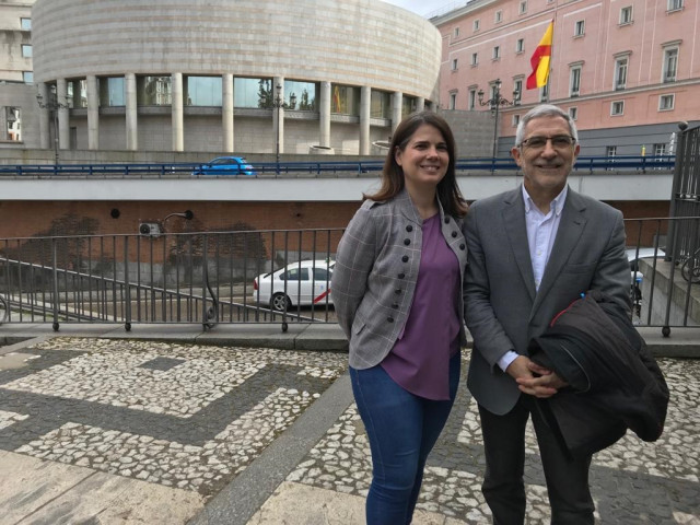 28A.- Actúa, El Partido De Llamazares, Propone A PSOE, Podemos E IU Conformar Un