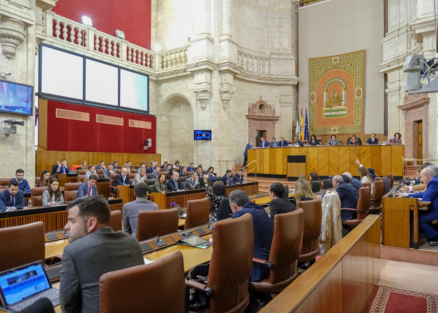 8M.- Aprobada Con El Único Rechazo De Vox Una Iniciativa Del PSOE-A En Apoyo Al