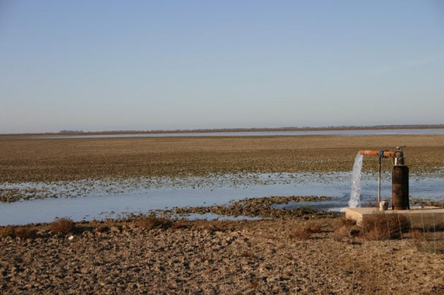 Pozo en Doñana