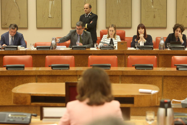 La vicepresidenta del Gobierno, Carmen Calvo, asiste a la reunión de la Diputaci