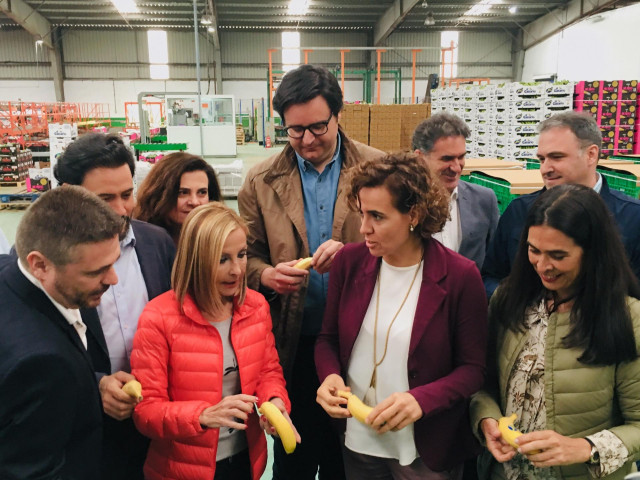 28A.- Montserrat (PP) Sobre El Episodio En La Autónoma: 
