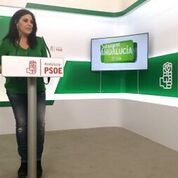 PSOE-A afirma que Podemos Andalucía lleva años dedicado a hacer 