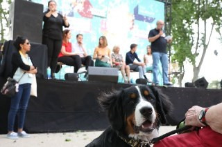 26M.- Más Madrid Propone Quitar Subvenciones A Feria De San Isidro, Más Centros De Protección Animal Y Nueva Ley De Caza