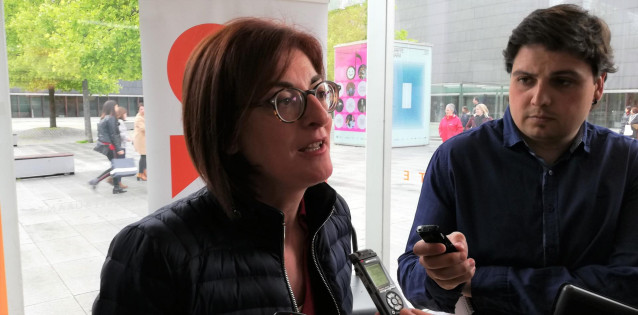 Pagazaurtundúa critica la 