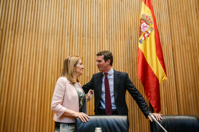 El presidente nacional del Partido Popular, Pablo Casado, preside la reunión de los grupos parlamentarios del Congreso y del Senado, en la Cámara baja