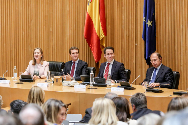 El presidente nacional del Partido Popular, Pablo Casado, preside la reunión de los grupos parlamentarios del Congreso y del Senado, en la Cámara baja