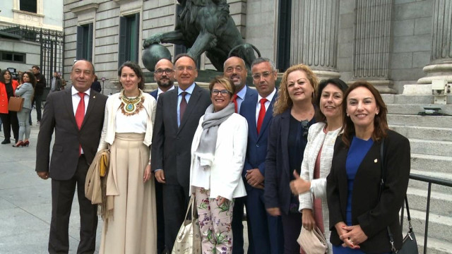 El PSOE de Canarias espera que los partidos permitan a Pedro Sánchez sacar adelanta la agenda social en el Congreso