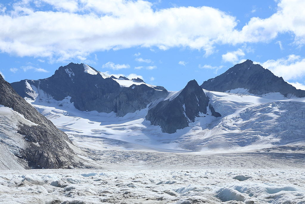 Parque Tatshenshini Alsek