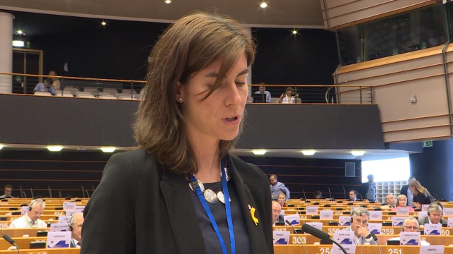 La secretaria de Acción Exterior de la Generalitat, Mireia Borrell, en el Comité de las Regiones.