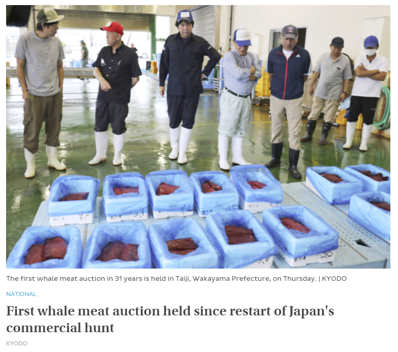 Primera subasta de carne de ballena en 2019, Japan Times