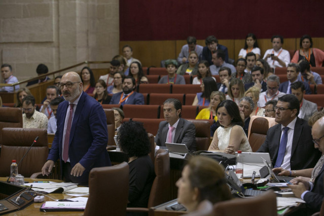 Segunda jornada del Pleno del Parlamento andaluz, con preguntas de los grupos políticos al presidente de la Junta, Juanma Moreno, en la sesión de control al gobierno. El portavoz del grupo parlamentario Vox, Alejandro Hernández (c), durante su intervenció