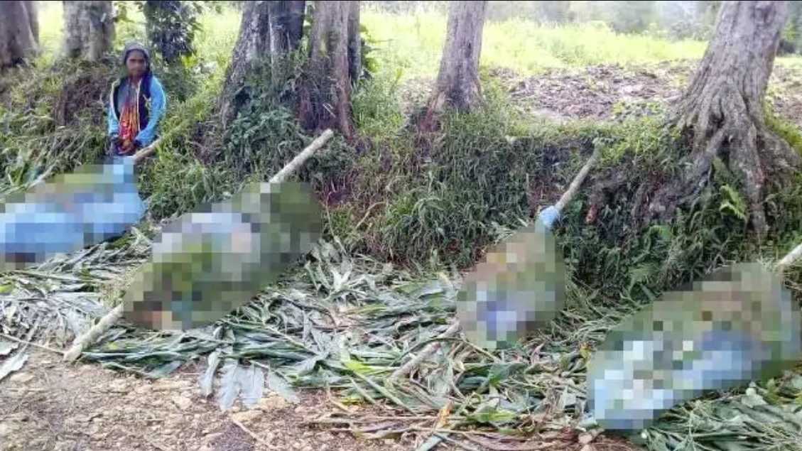 u200bMujeres, algunas embarazadas y niu00f1os asesinados en una masacre tribal en Papu00faa Nueva Guinea 2