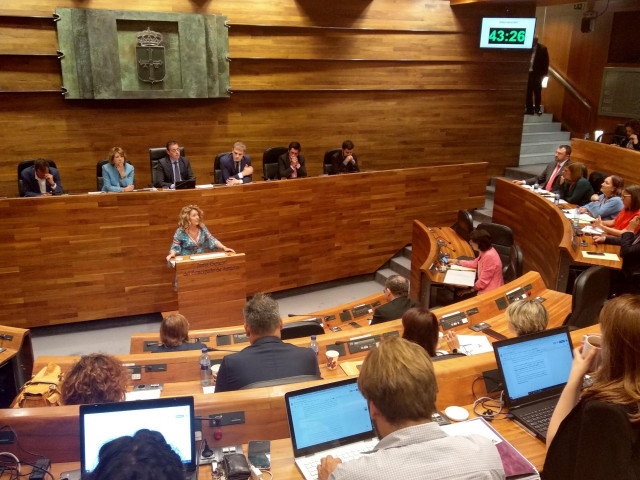 La portavoz del PP en la Junta General, Teresa Mallada, durante el pleno de Elección del Presidente.