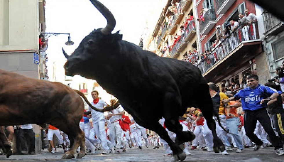 San fermin festival 2009 08