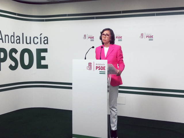 La portavoz adjunta del Grupo Parlamentario Socialista, Rosa Aguilar, en rueda de prensa en Almería
