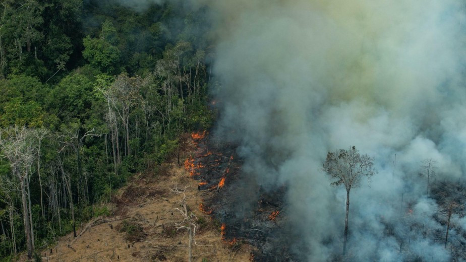 Incendio en Amazonas