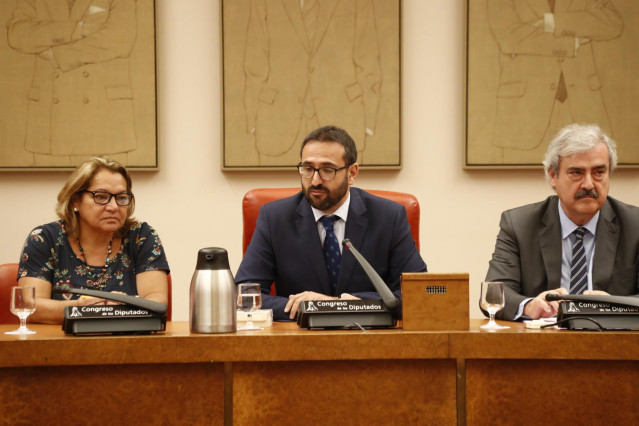 El secretario de Organización del PSOE de Castilla-La Mancha y diputado en el Congreso de los Diputados por Toledo, Sergio Gutiérrez (c), durante su nombramiento como presidente en la constitución de la Comisión de Asuntos Exteriores del Congreso de los D