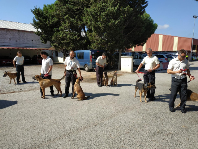 Comienza el primer curso de formación de Guías Caninos para funcionarios de prisiones en Los Barrios (Cádiz)