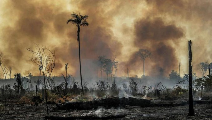 Incendios en el Amazonas, Brasil, deforestación