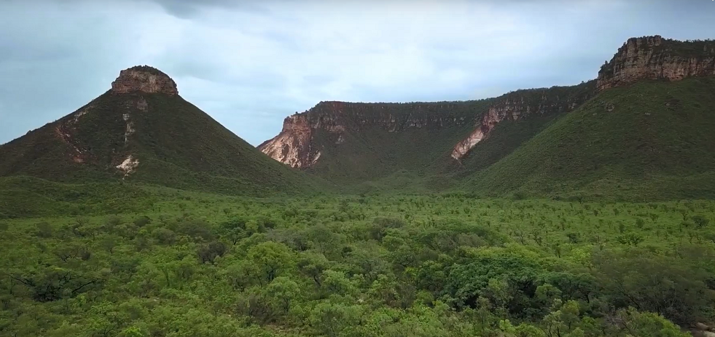 Ecorregiu00f3n de El Cerrado, en Brasil