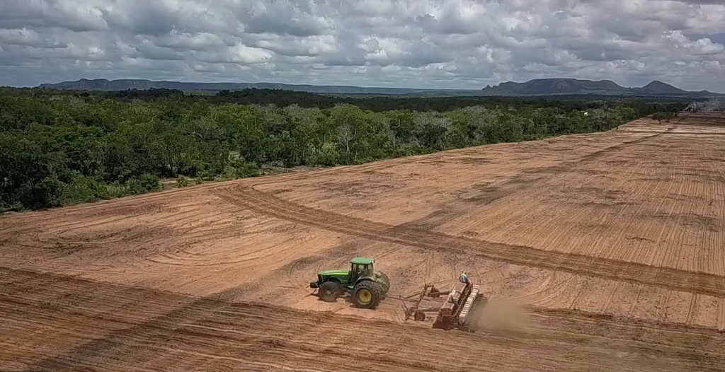 La demanda mundial de carne estu00e1 detru00e1s de la deforestaciu00f3n de El Cerrado