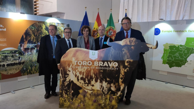 Juan Ignacio Zoido, en una exposición en el Parlamento Europeo sobre el toro bravo