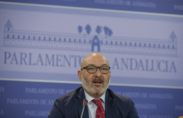 El portavoz del grupo parlamentario Vox, Alejandro Hernández