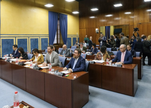 Comisión de investigación sobre la Fundación Andaluza Fondo de Formación y Empleo (Faffe)