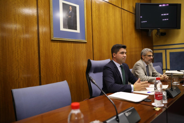 La comisión de investigación de la Faffe