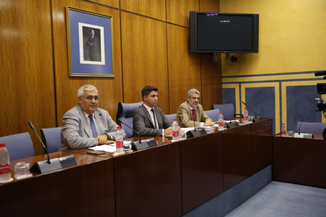 Antonio Ramírez de Arellano, ante la comisión de investigación