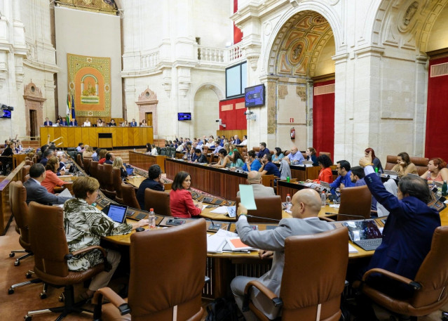 El Parlamento andaluz convalida por unanimidad el decreto ley de ayudas a los ayuntamientos por el temporal