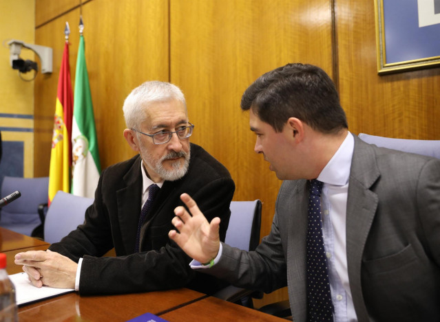 Antonio Ávila, durante su comparecencia en la comisión de investigación de la Faffe