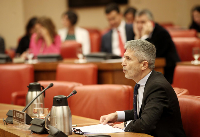El ministro del Interior en funciones, Fernándo Grande- Marlaska, en el Congreso