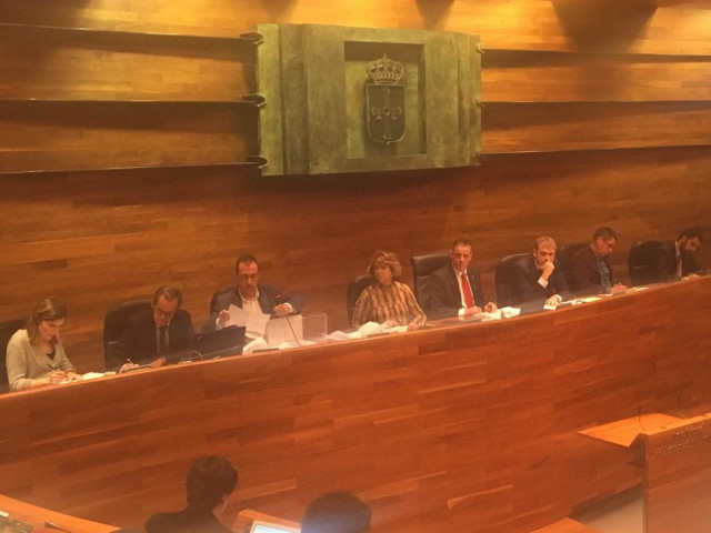 La Junta General designa senadoras y representantes en Hunosa y entidades del sector público autonómico