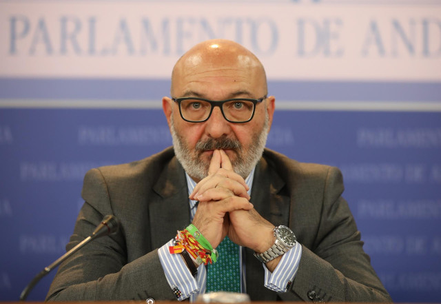 El portavoz parlamentario de Vox en Andalucía, Alejandro Hernández