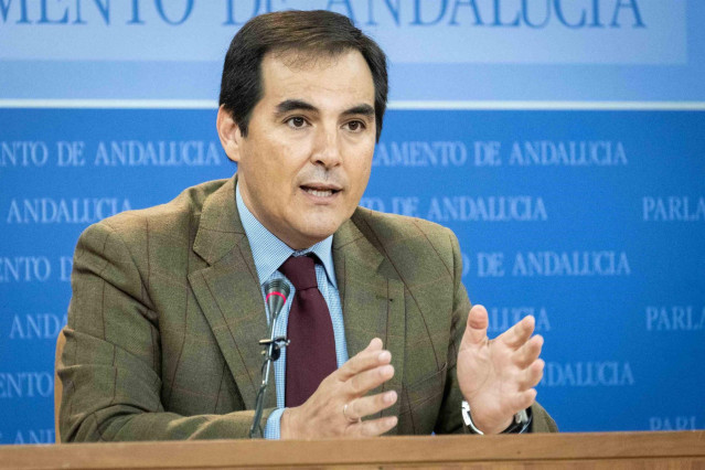 El portavoz del PP-A, José Antonio Nieto