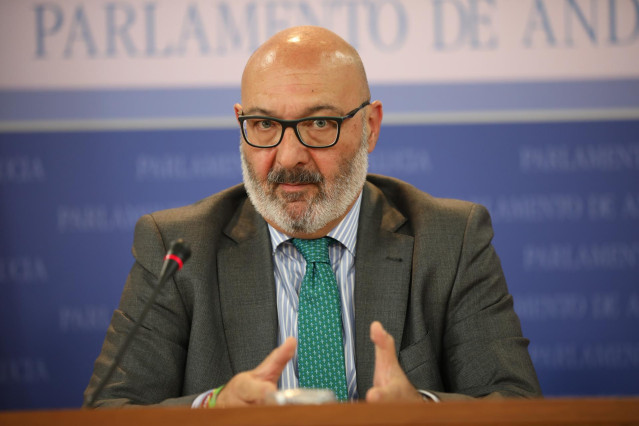 El portavoz del grupo parlamentario Vox, Alejandro Hernández.