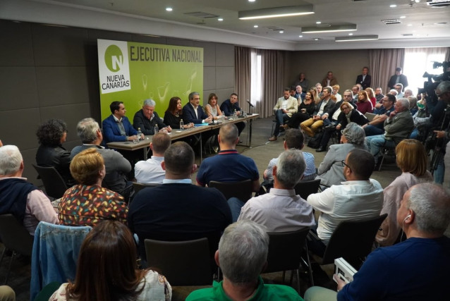 Ejecutiva Nacional de Nueva Canarias (NC)