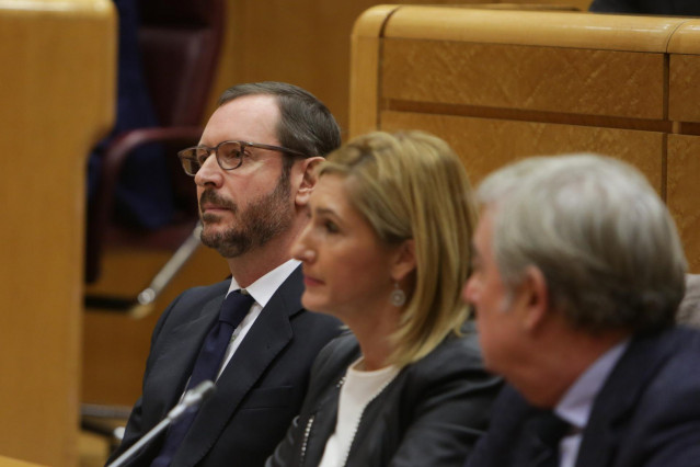 El portavoz del PP en el Senado, Javier Maroto.