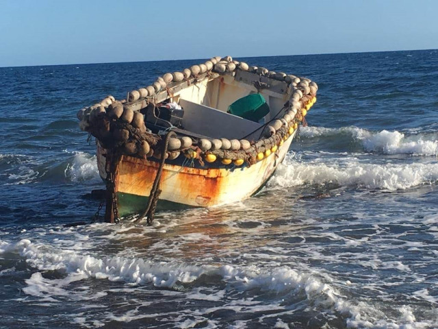 Patera