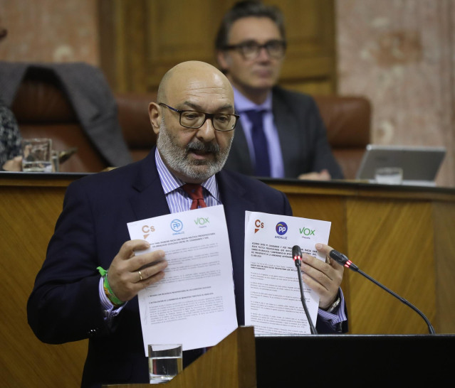 El portavoz parlamentario de Vox en Andalucía, Alejandro Hernández, en el pleno extraordinario.
