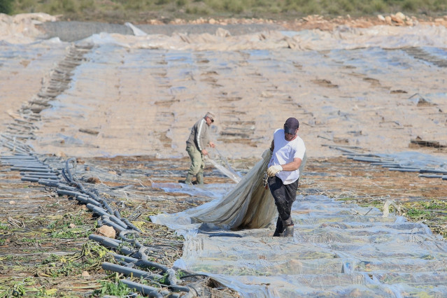 Agricultores trabajan para levantar los invernaderos afectados por el paso de la borrasca 'Gloria' en Níjar (Almería)