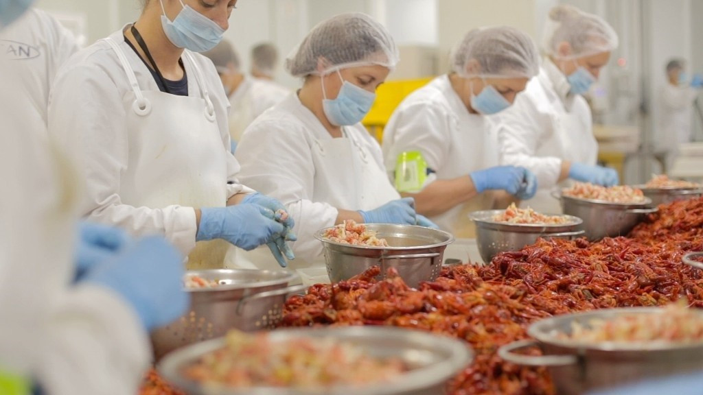 Trabajadoras de la compau00f1u00eda Alfocan, trabajo, empleo, industria, manufactura