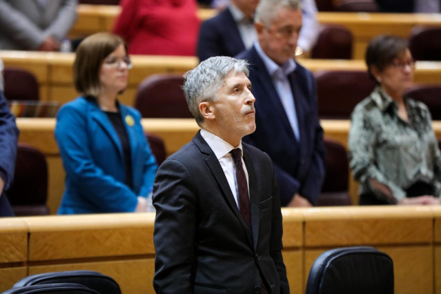 El ministro de Interior, Fernando Grande-Marlaska, durante la primera sesión de control al Gobierno en el Senado