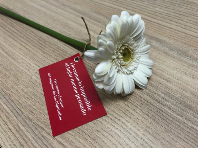 Flor entregada a los diputados a la entrada del Congreso