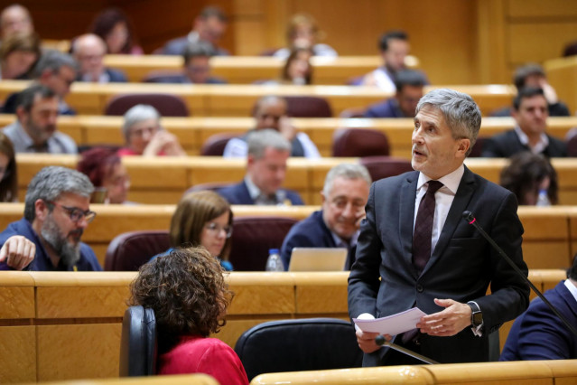 El ministro del Interior, Fernando Grande-Marlaska, durante la primera sesión de control al Gobierno de coalición PSOE y Unidas Podemos de la XIV Legislatura en el Senado, en Madrid (España), a 11 de febrero de 2020.