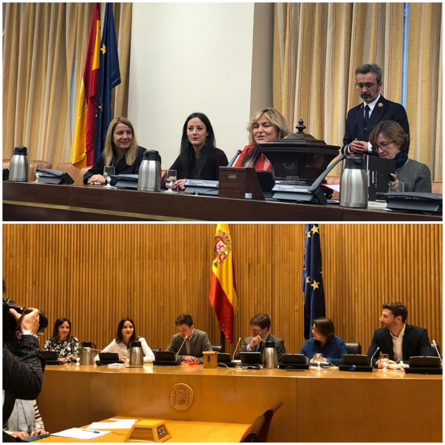 Mesas de las comisiones del Congreso para el seguimiento del Pacto contra la vioilencia machista, arriba, y para la Lucha cohntra la Corrupción